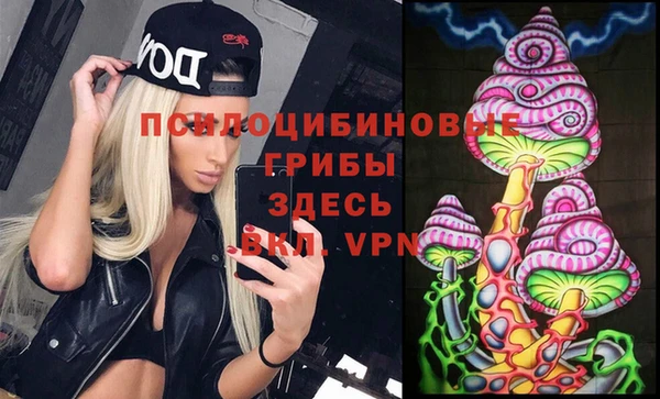 соль курить ск Арсеньев