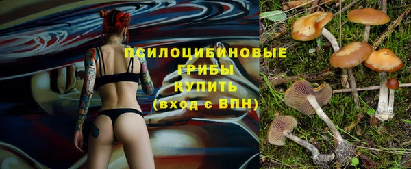 соль курить ск Арсеньев